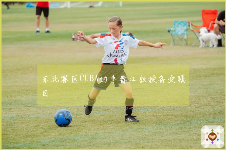 东北赛区CUBA的李春江教授备受瞩目