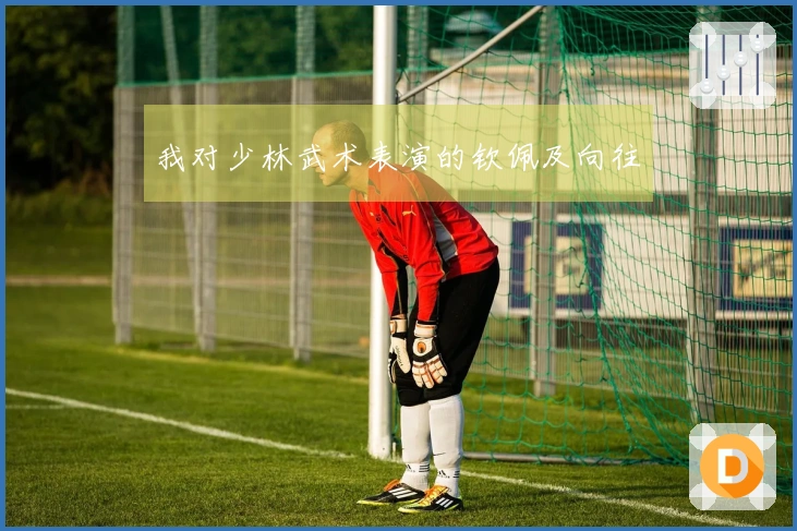 我对少林武术表演的钦佩及向往