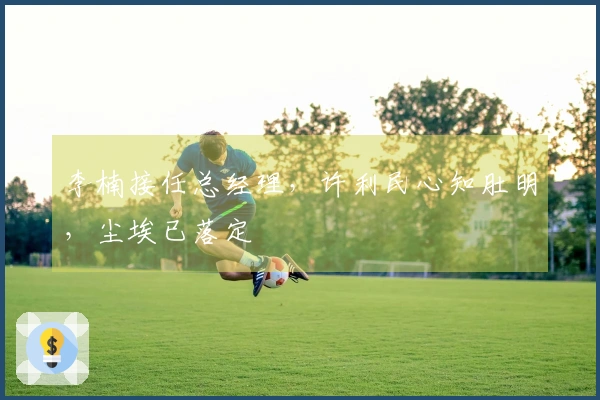 李楠接任总经理，许利民心知肚明，尘埃已落定